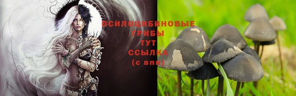 mdpv Аркадак