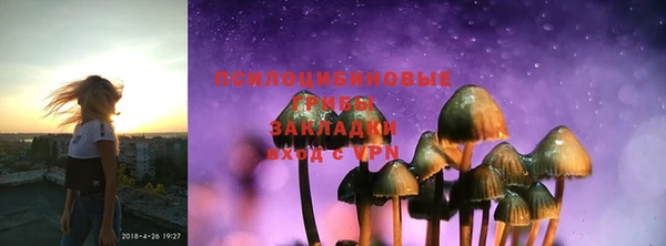 винт Армянск