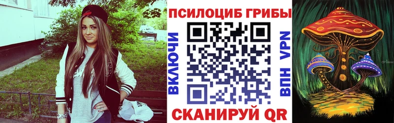 Галлюциногенные грибы Psilocybine cubensis  mega   Приволжск 